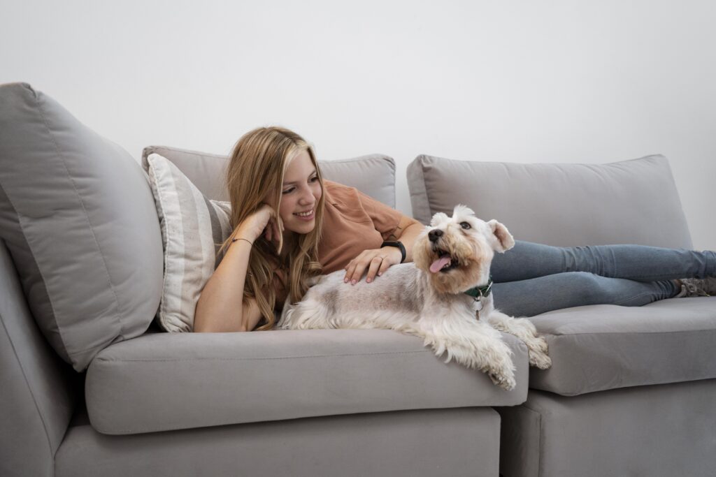 Sofá com cheiro de cachorro, urina ou mofo: como resolver de verdade